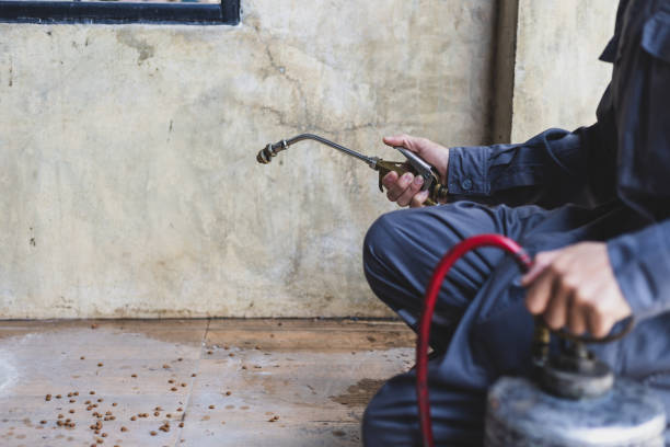 Best Best Pest Control Companies  in Atkinson, NE